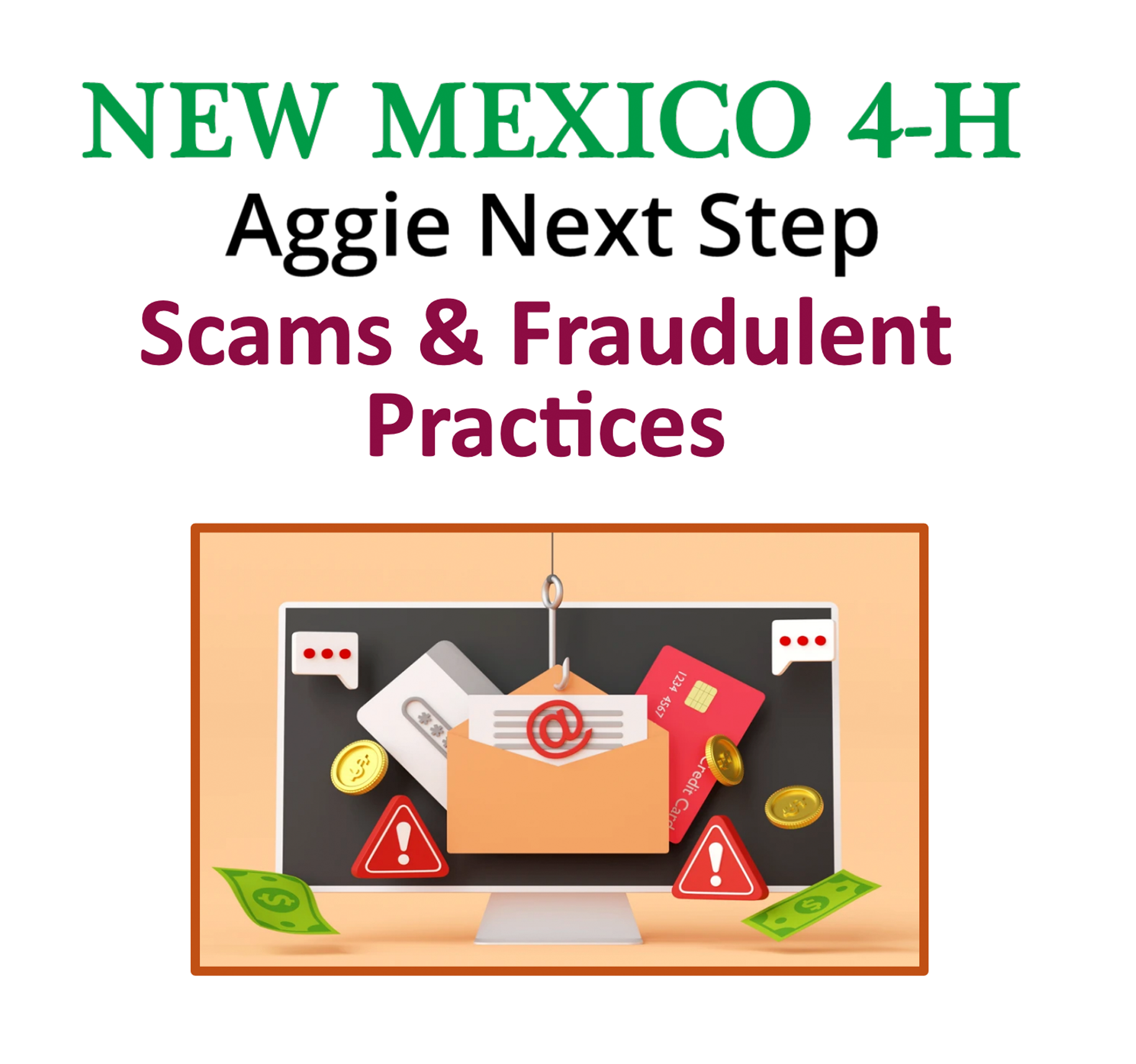 Scams and Fraudulent Practices